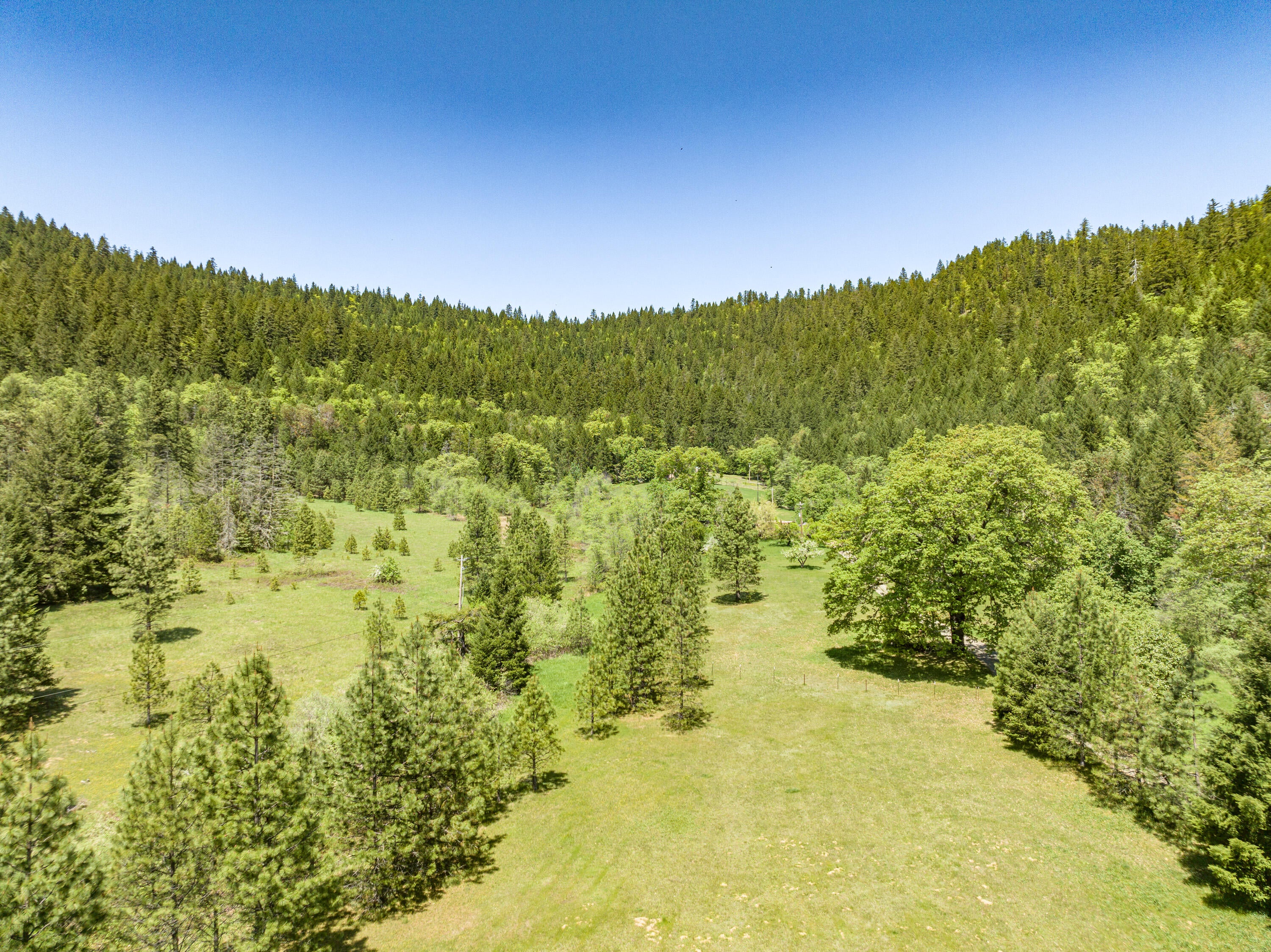2930 Crooks Creek Road Grants Pass, OR 97527 - Photo 57 of 58 Crowl Family Ranch (54)