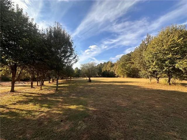 a view of dirt field with trees