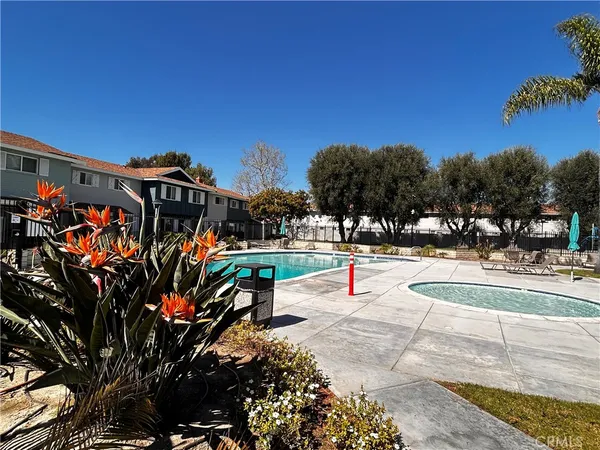 a view of a swimming pool with a yard