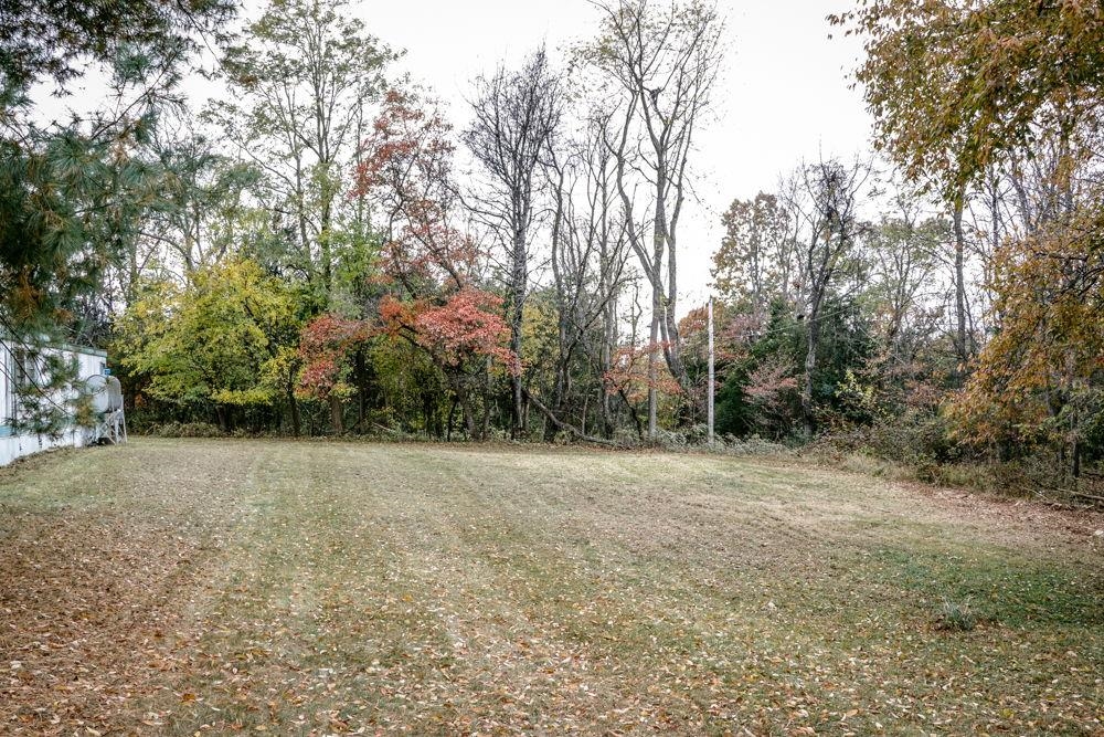 1320 Smithland Road Harrisonburg, VA 22802 - Photo 7 of 12 a view of a field with trees in the background