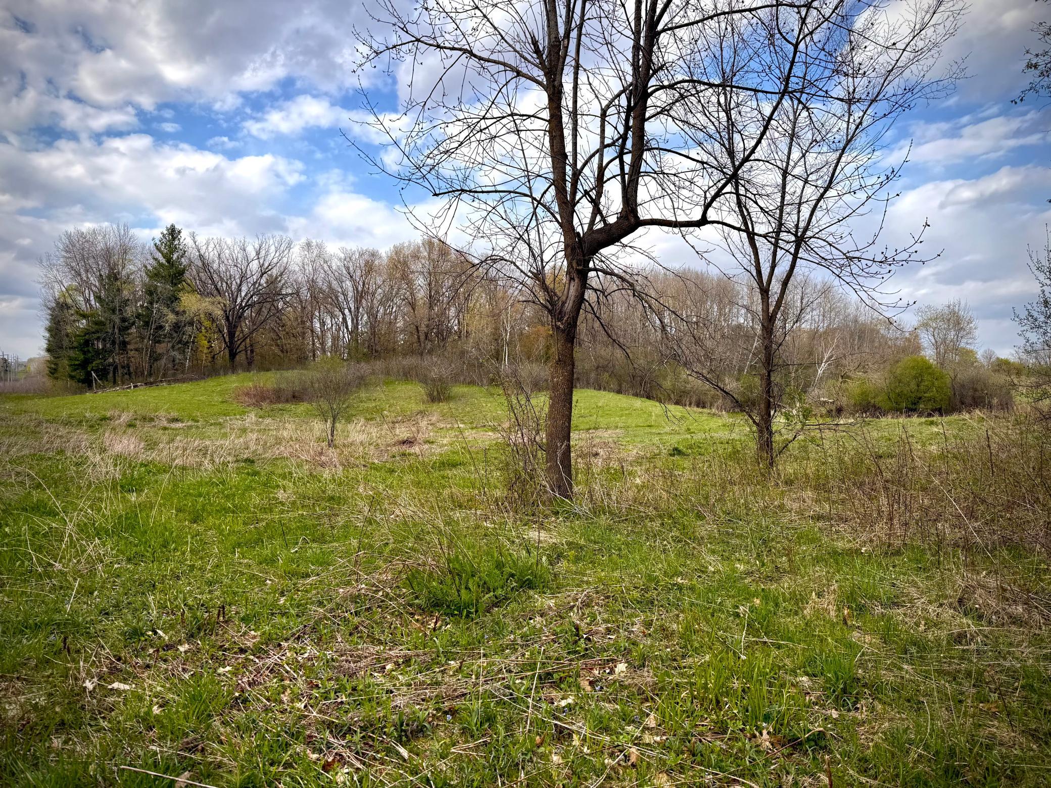 Tbd County Line Avenue Clear Lake, WI 54005 - Photo 6 of 12