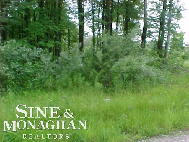 8101-8111 Adair Road Casco, MI 48064 - Photo 15 of 15