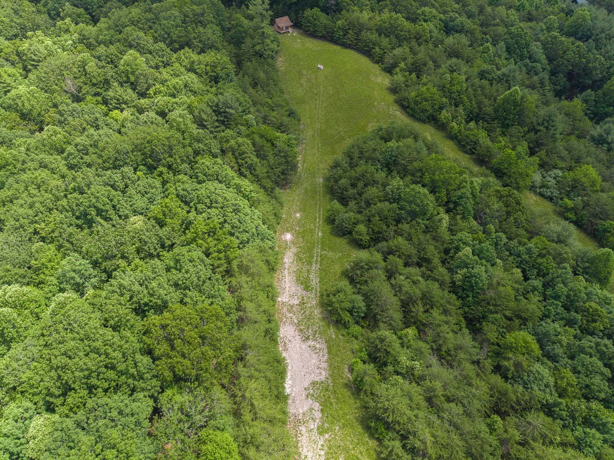 Tbd Locust Hill Road Max Meadows, VA 24360 - Photo 14 of 15 Gallery Image 14