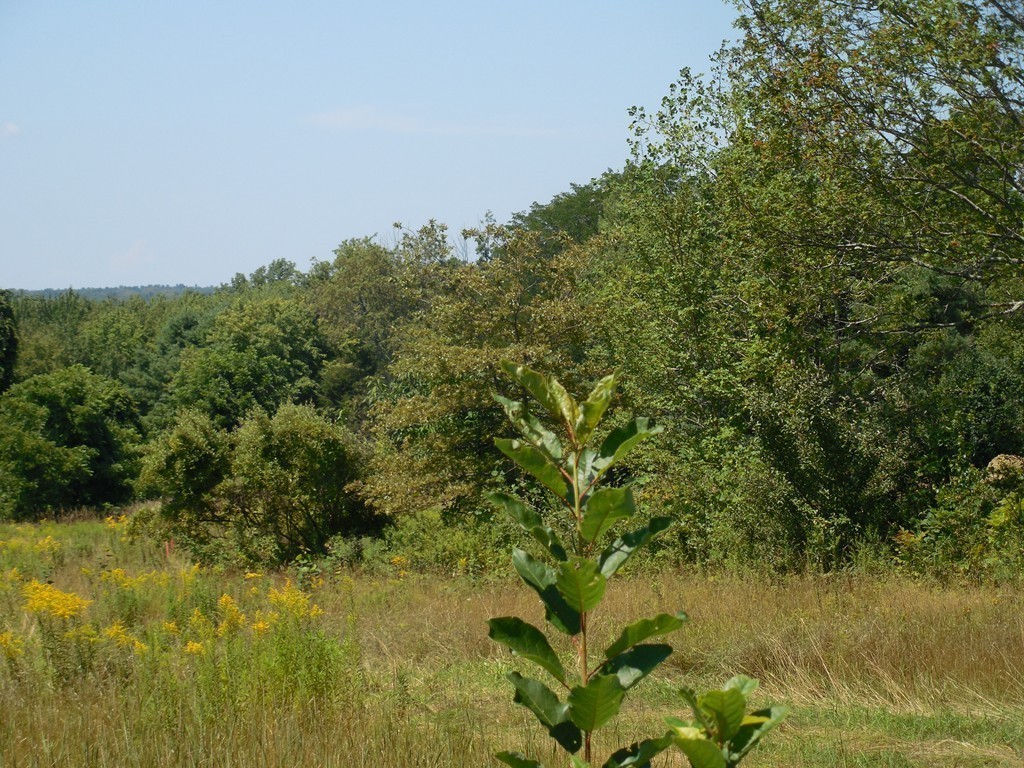 Lot A Cooper Road Northbridge, MA 01534 - Photo 4 of 6