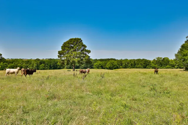 a view of a lake view