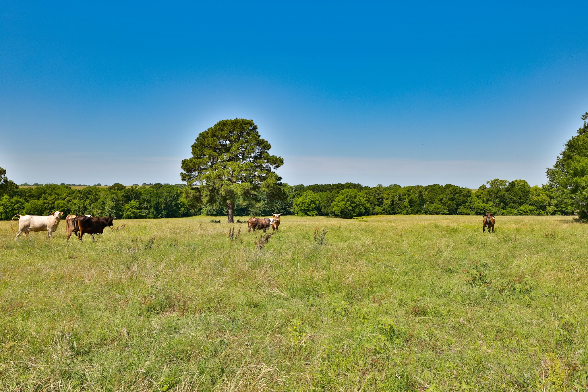 305 Rd Navasota Tx 77868 Road Navasota, TX 77868 - Photo 11 of 19 a view of a lake view