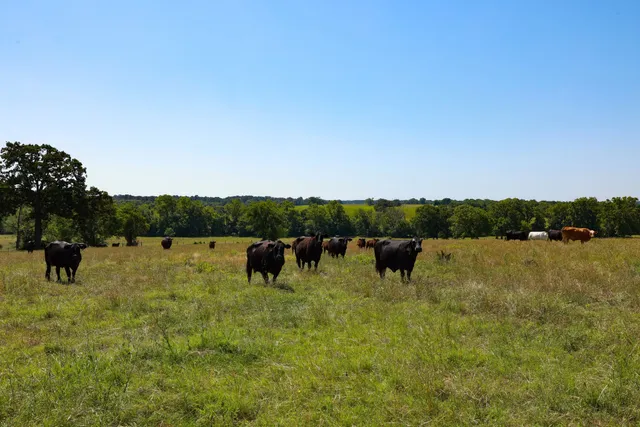 a view of a lake with houses