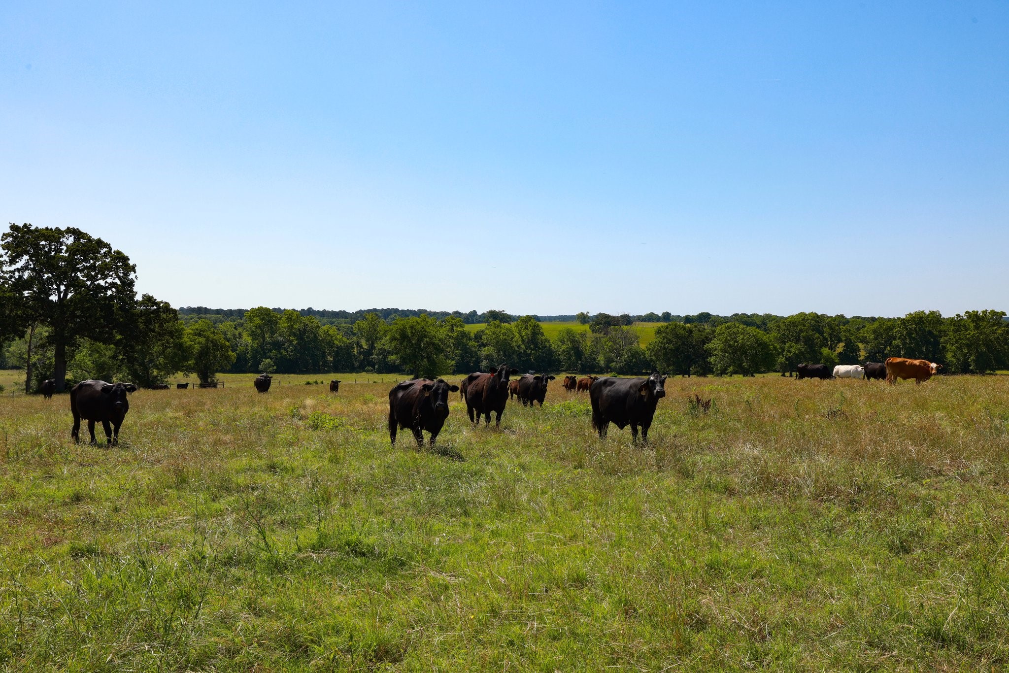 305 Rd Navasota Tx 77868 Road Navasota, TX 77868 - Photo 13 of 19 a view of a lake with houses