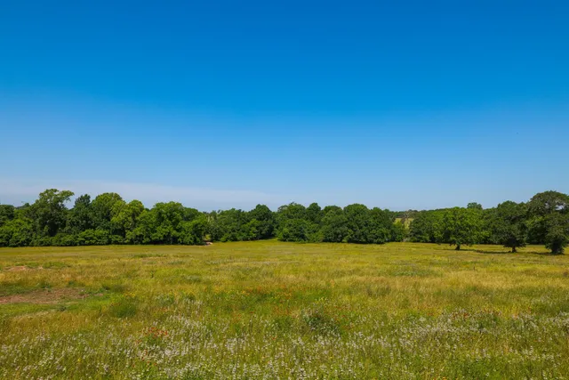 a view of a field with an ocean view