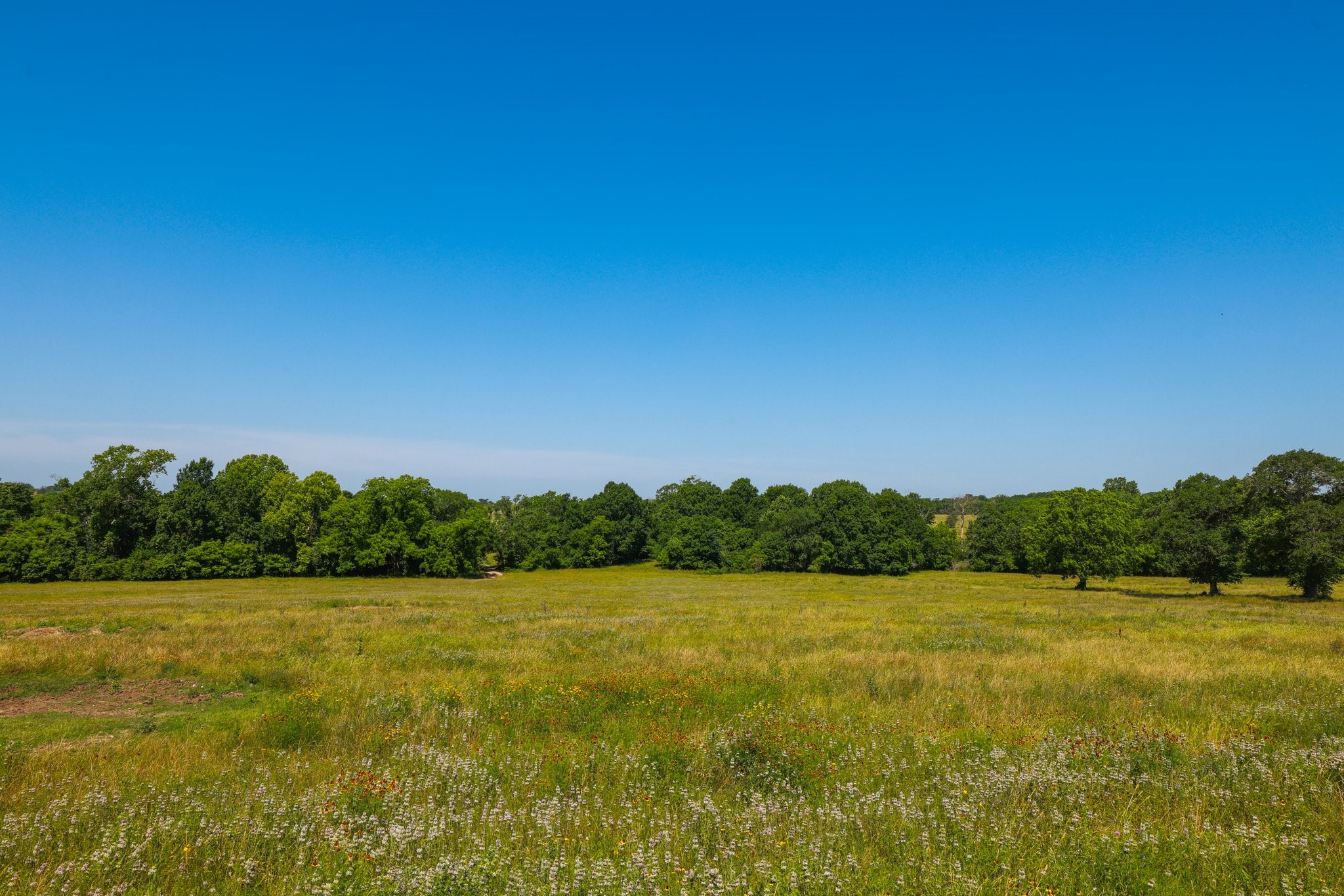 305 Rd Navasota Tx 77868 Road Navasota, TX 77868 - Photo 14 of 19 a view of a field with an ocean view