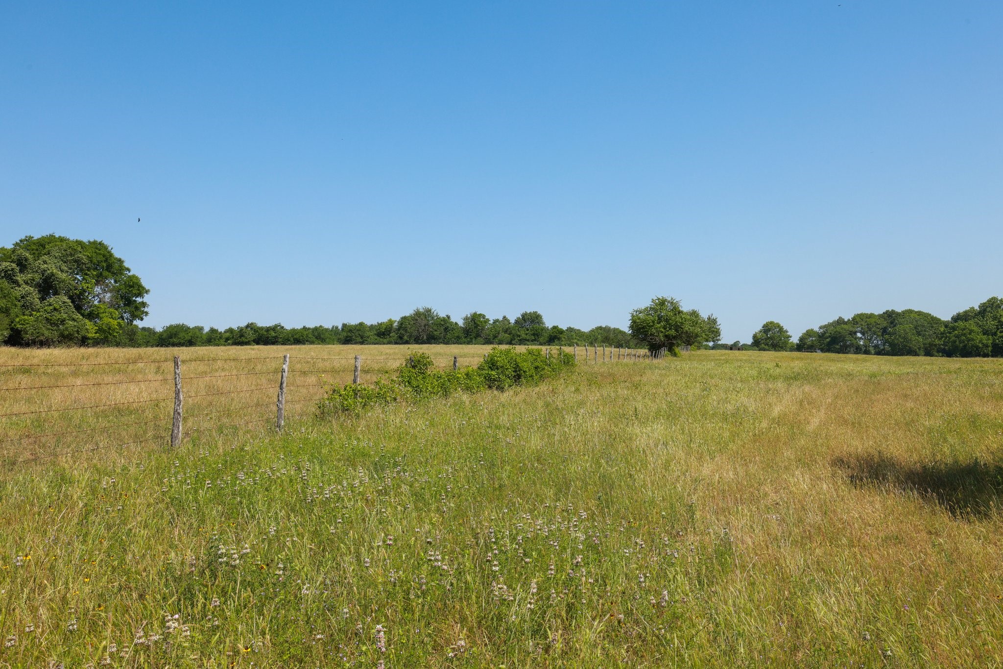305 Rd Navasota Tx 77868 Road Navasota, TX 77868 - Photo 16 of 19 a view of a lake view