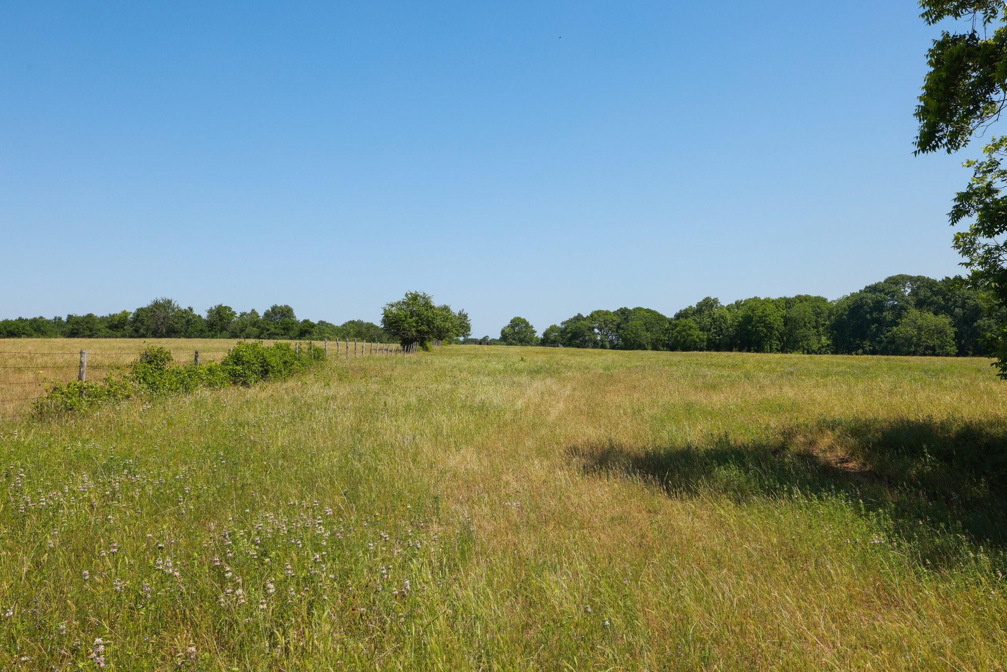 305 Rd Navasota Tx 77868 Road Navasota, TX 77868 - Photo 17 of 19 a view of a lake from a yard