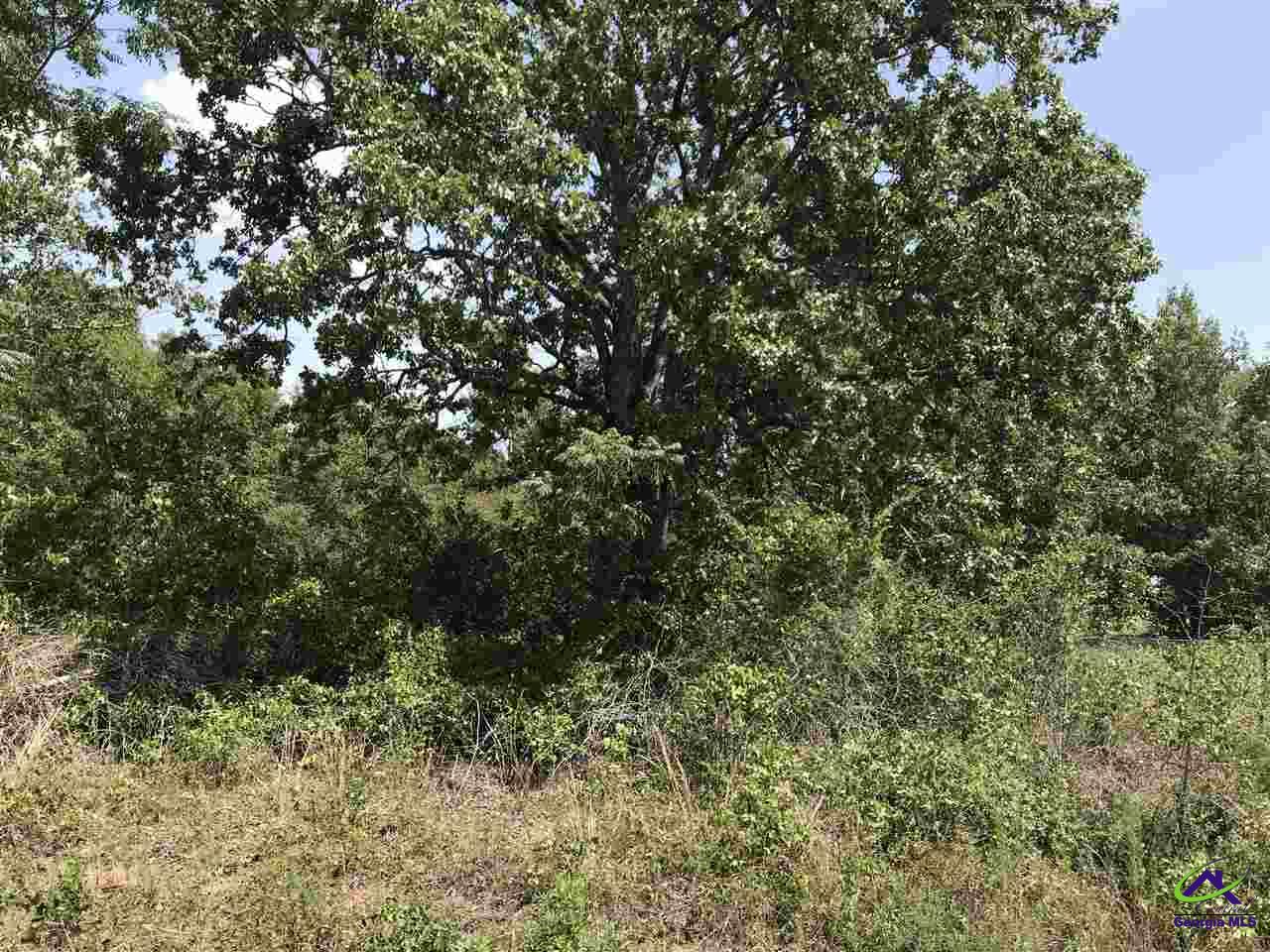 Lot 12 Hudson Jones Road Cochran, GA 31014 - Photo 1 of 1