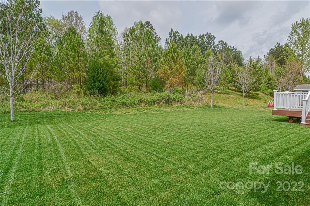 1672 Beleek Ridge Lane Clover, SC 29710 - Photo 30 of 32 a backyard of a house with lots of green space and garden