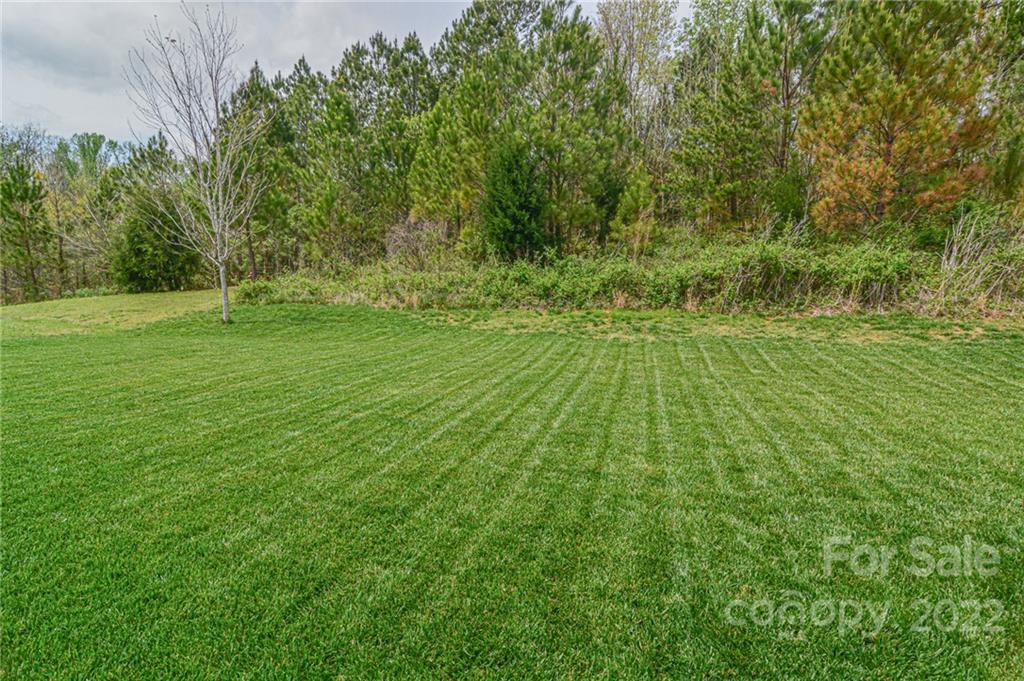 1672 Beleek Ridge Lane Clover, SC 29710 - Photo 31 of 32 a backyard of a house with lots of green space