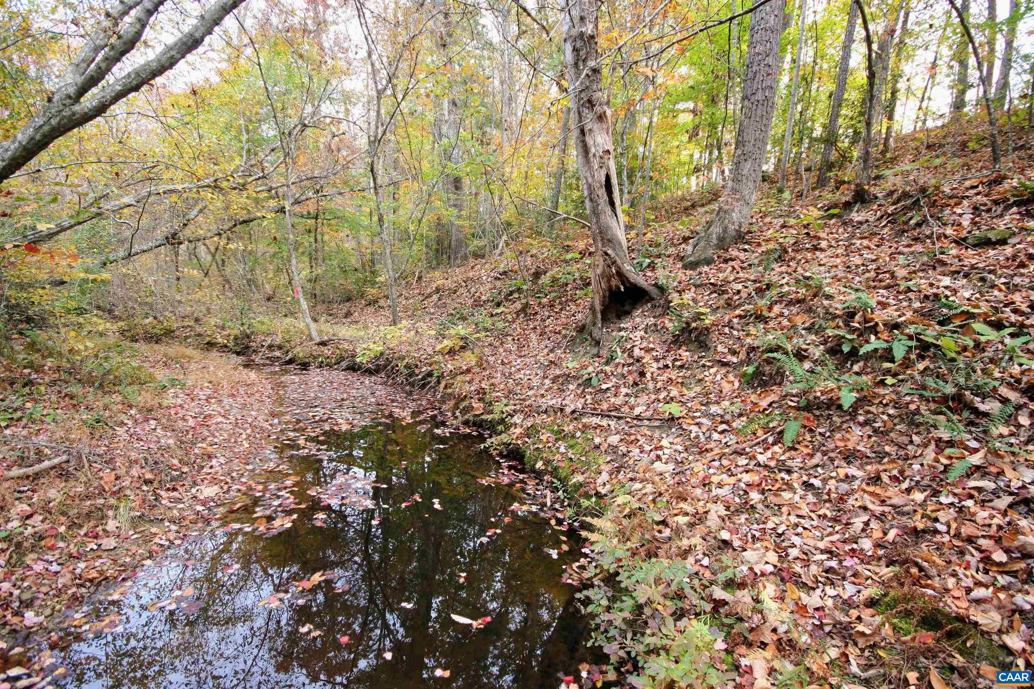 Tba Ridge Road, Unit 1 Arvonia, VA 23004 - Photo 8 of 50