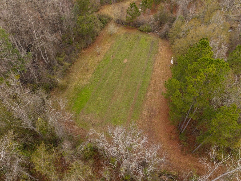 998 Fellowship Road Hahira, GA 31632 - Photo 73 of 79 Gallery Image 73