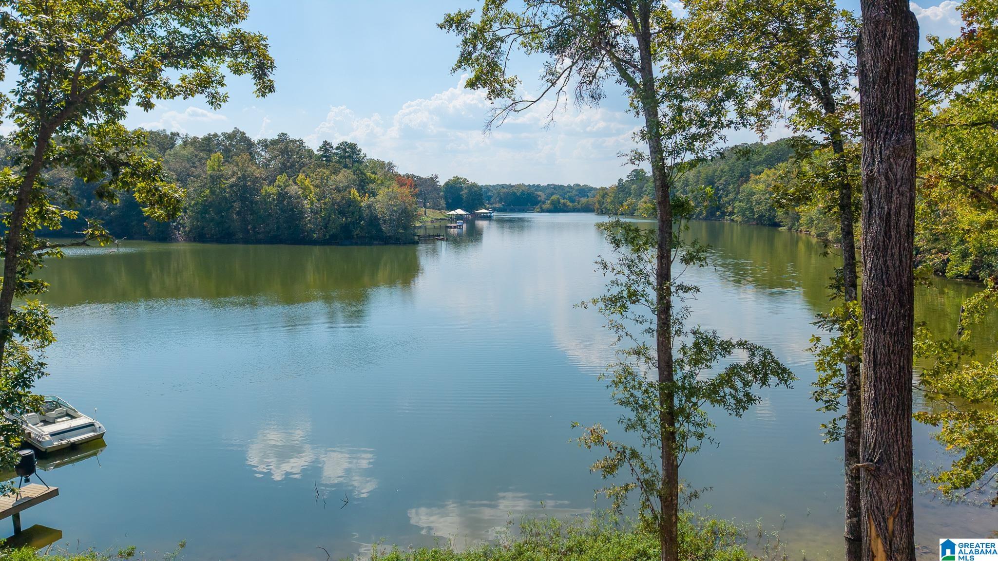 1132 Glade Road Talladega, AL 35160 - Photo 4 of 65 Gallery Image 4