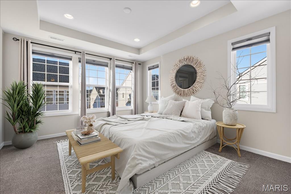 8014 Townes Way St. Louis, MO 63117 - Photo 20 of 37