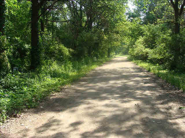 0 West Dunbar Road Ida, MI 48140 - Photo 5 of 6 Dead end road