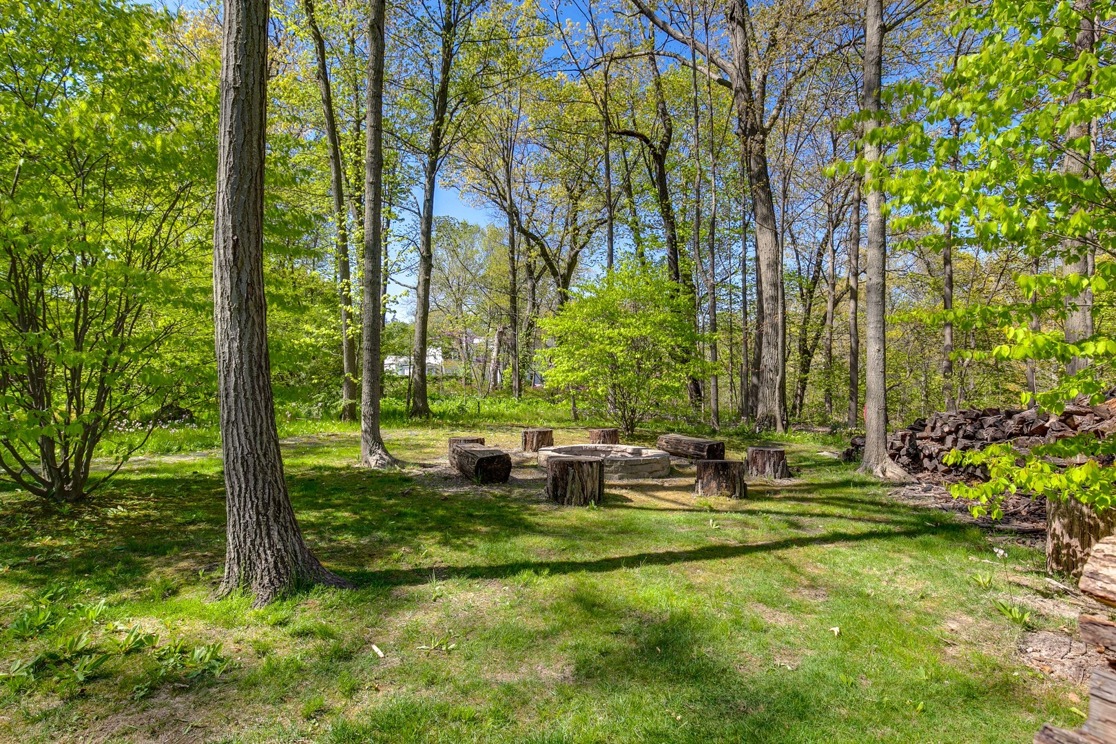 1220 Elm Tree Road Lake Forest, IL 60045 - Photo 44 of 55 a bunch of trees and bushes