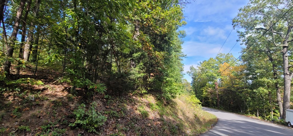 97 Shell Mountain Road Sevierville, TN 37876 - Photo 5 of 14