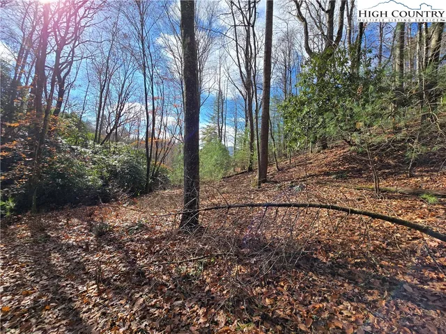 view of a wall with a wall painting and a plant