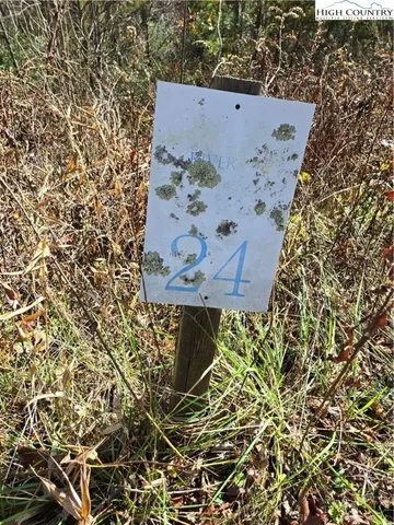 a view of a back yard