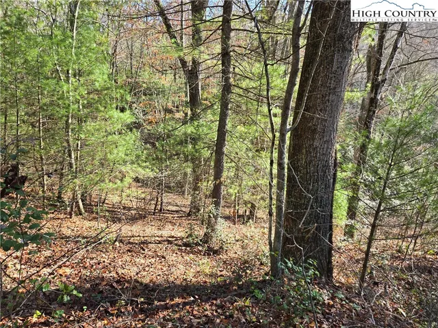 a view of outdoor space and garden