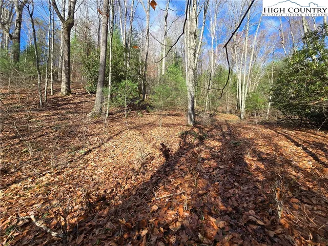 a view of a yard with plants and trees