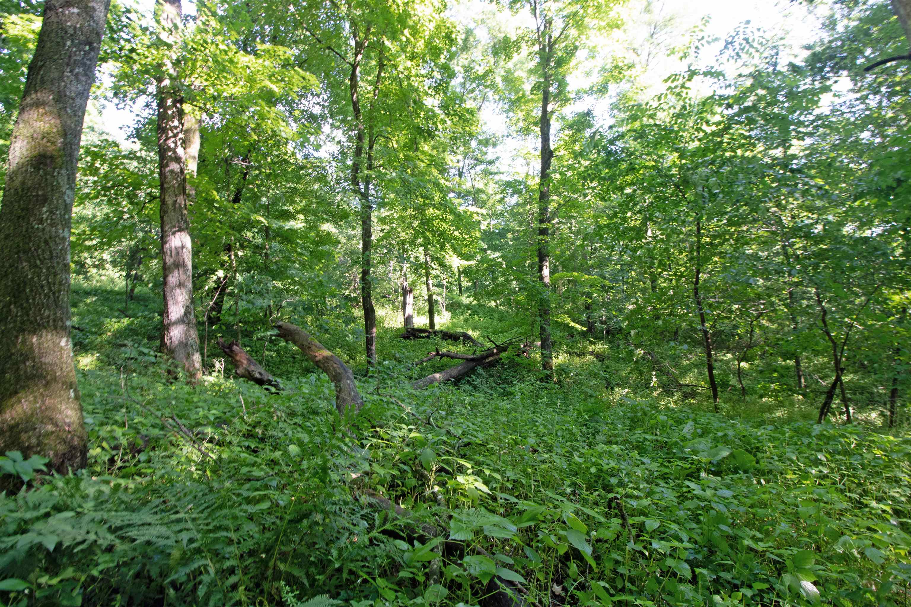 76-acres Skyline Road Blue River, WI 53518 - Photo 27 of 46