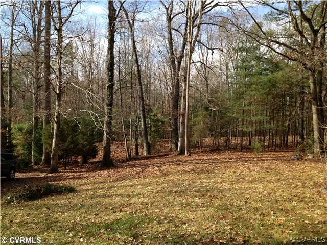 12517 Nash Road Chesterfield, VA 23838 - Photo 14 of 14 a backyard of a house with lots of green space