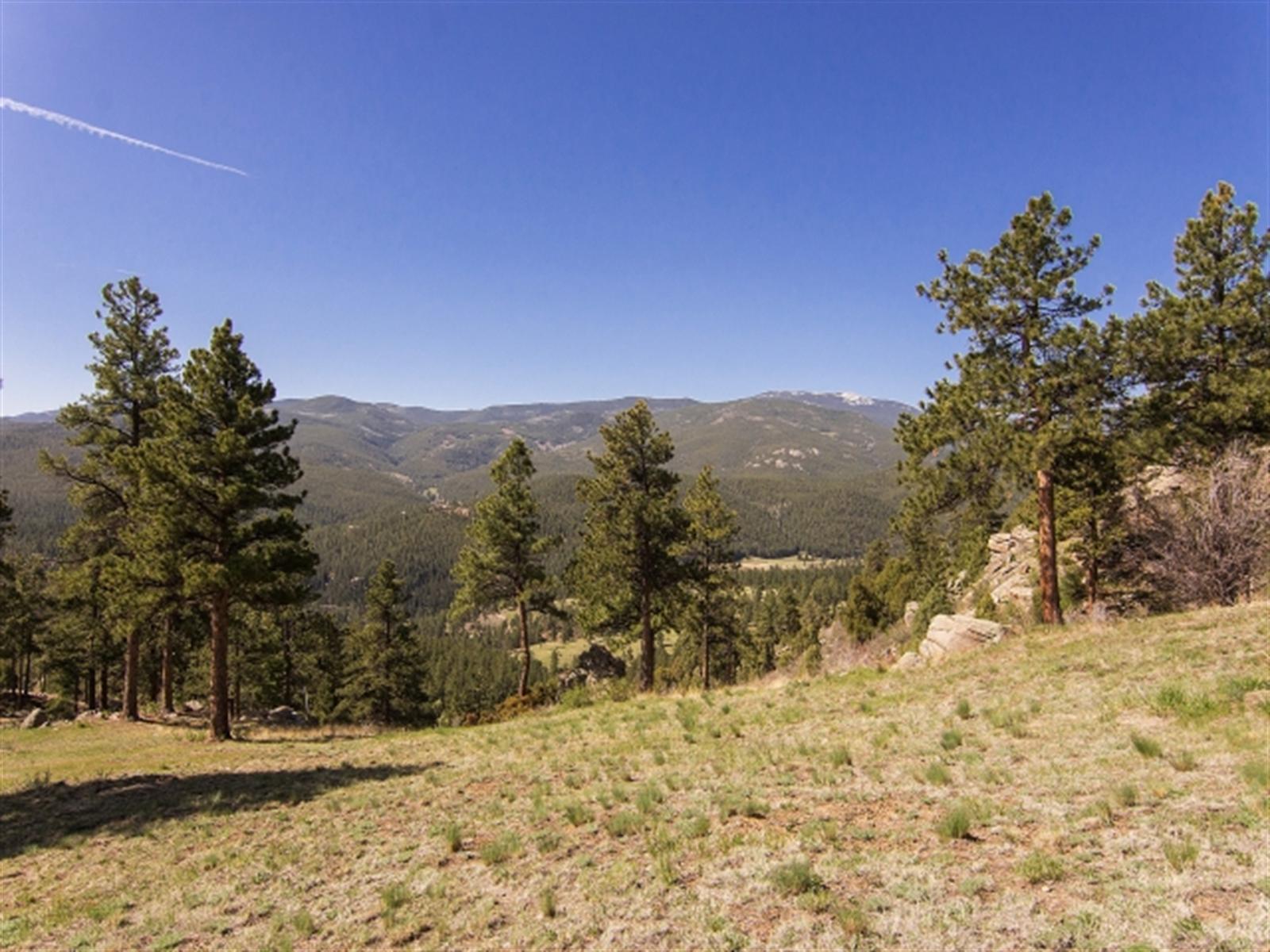 0 Crystal Ridge Road Evergreen, CO 80439 - Photo 1 of 1 Gallery Image 1