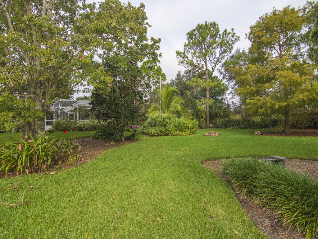 109 Thunderbird Drive Sebastian, FL 32958 - Photo 23 of 27 a view of a garden with large trees