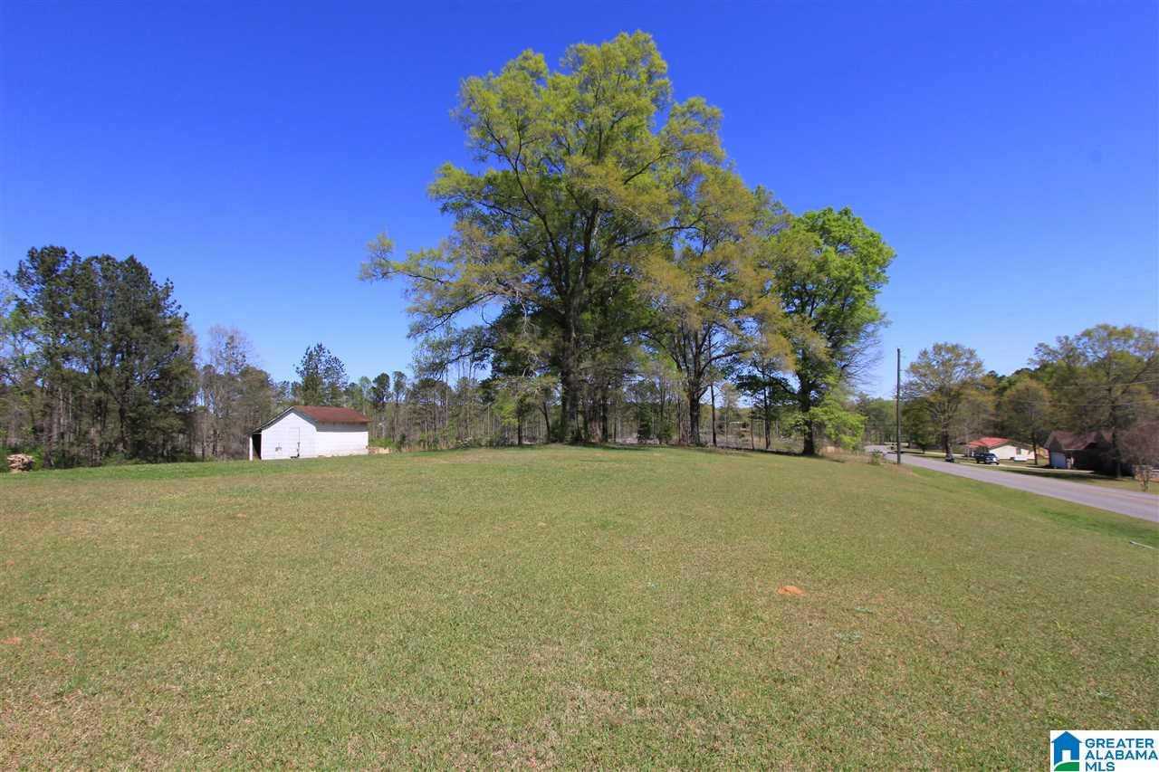 591 Janney Road Ohatchee, AL 36271 - Photo 42 of 42