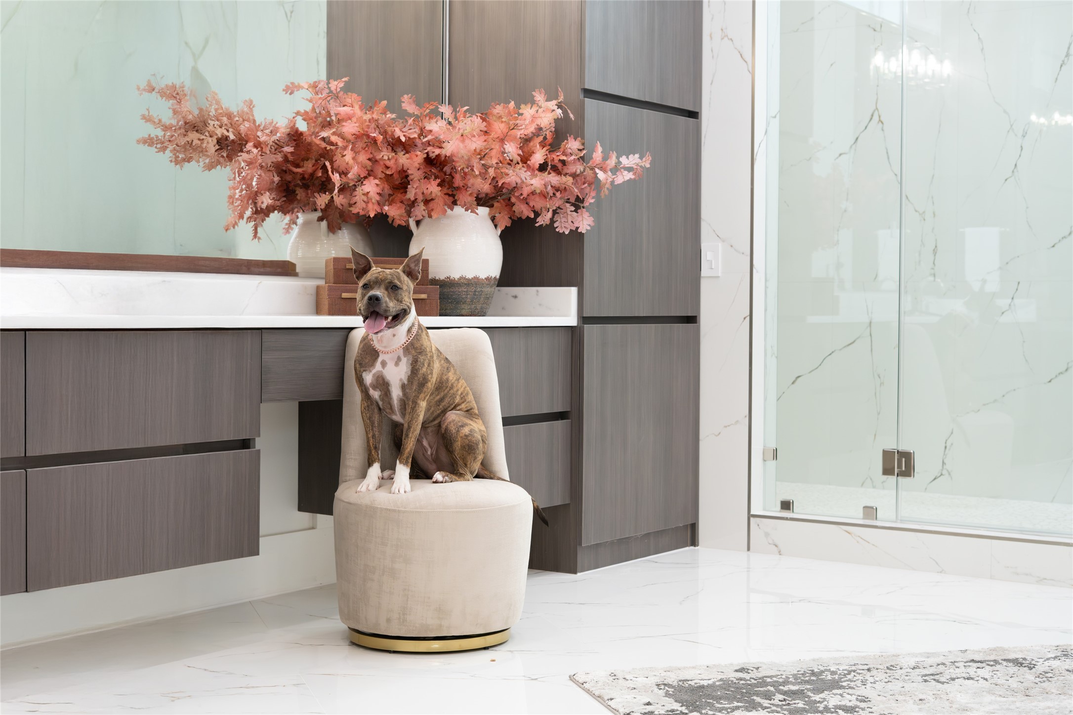 625 Piney Point Road Houston, TX 77024 - Photo 27 of 47 Every queen deserves to be spoiled! Naala has officially declared the vanity chair her royal seat—where every day is a pampered adventure in this luxurious bathroom kingdom!