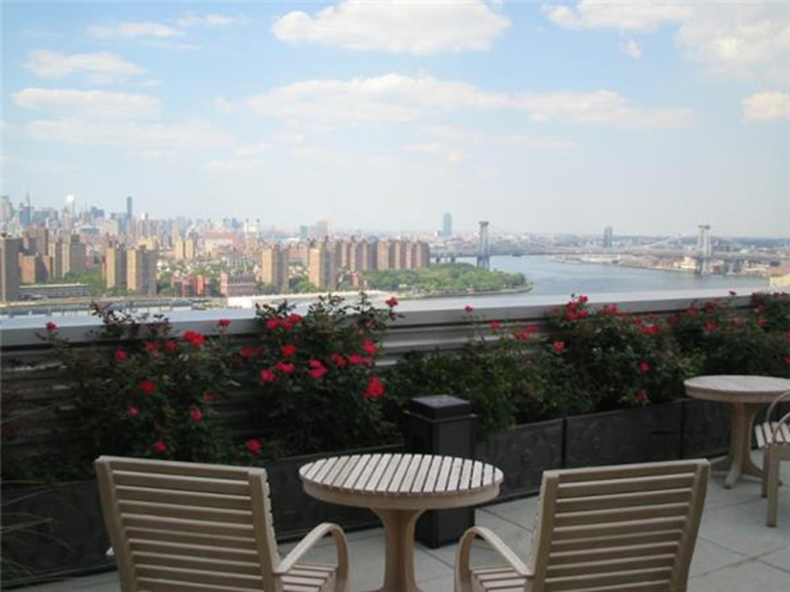 Undisclosed Address Brooklyn, NY 11201 - Photo 10 of 23 a view of a city and a garden