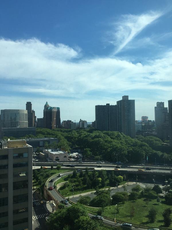 Undisclosed Address Brooklyn, NY 11201 - Photo 8 of 23 a view of a city