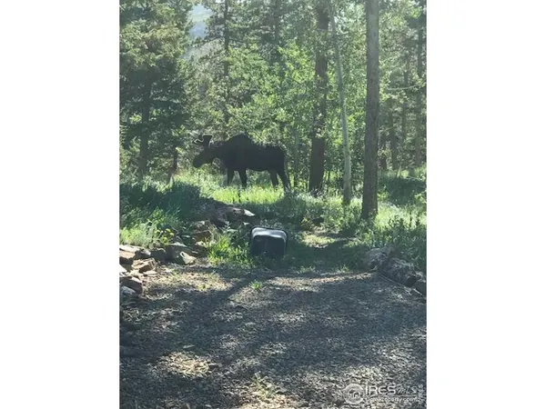 $1,200,000 | 98 Rim Road, Boulder, CO 80302