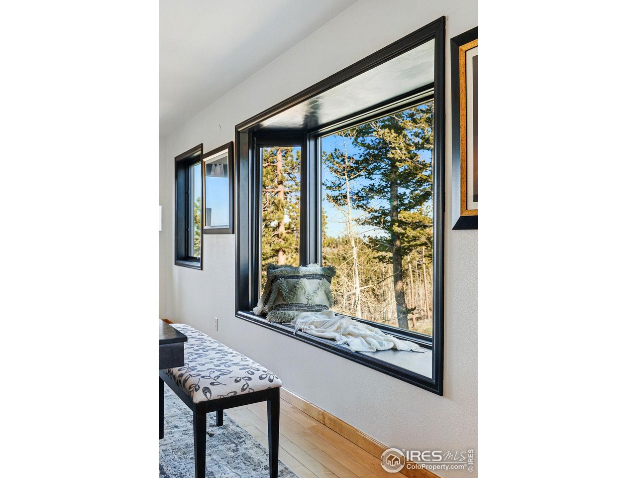 98 Rim Road Boulder, CO 80302 - Photo 10 of 43 Your window seat looking out into the natural beauty