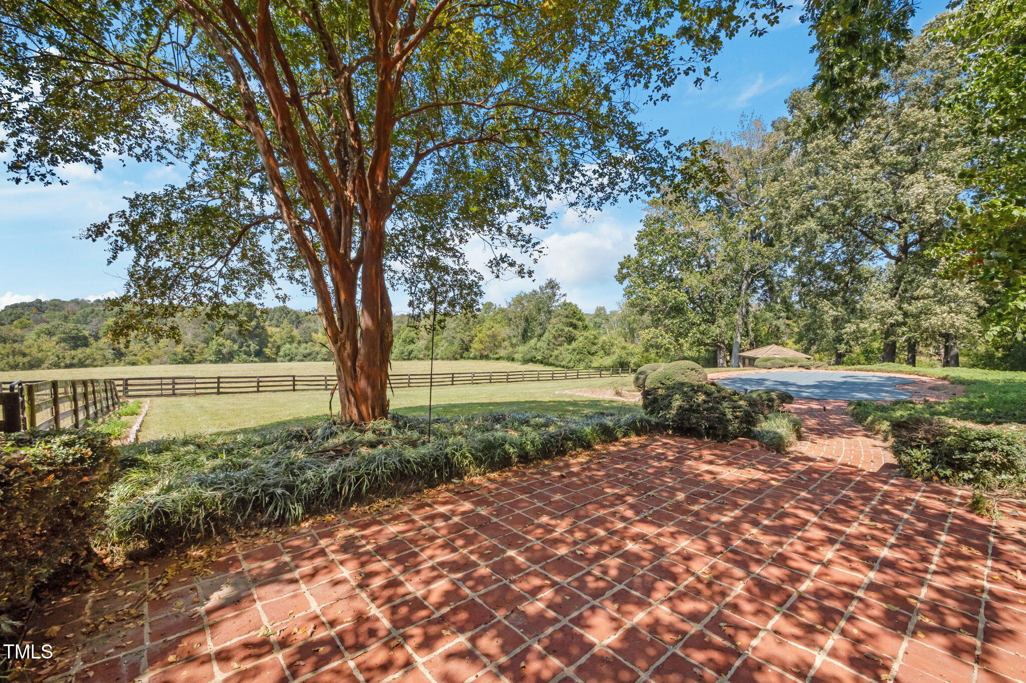 418 Quail Roost Farm Road Rougemont, NC 27572 - Photo 27 of 100 a view of a garden with plants and large trees