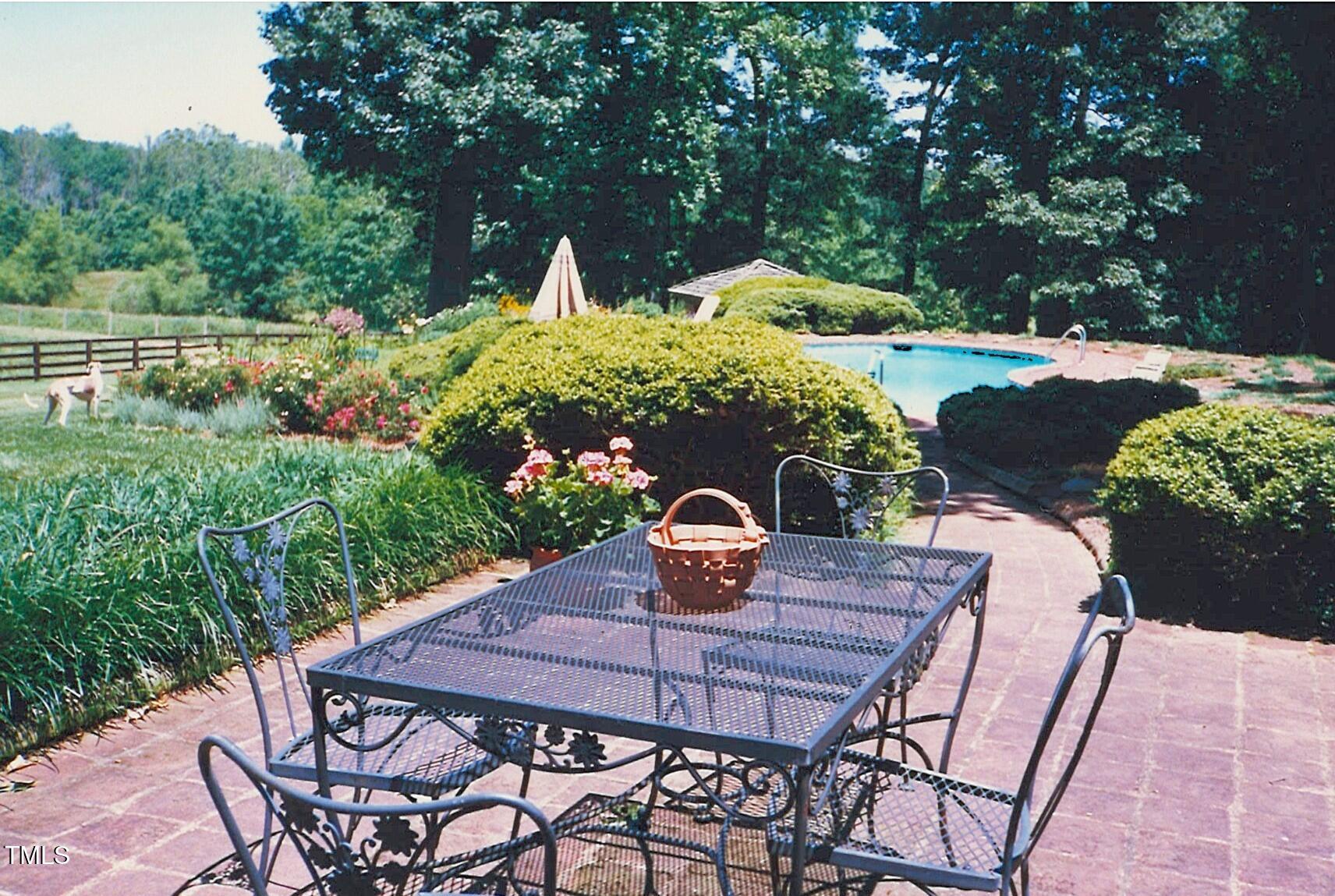 418 Quail Roost Farm Road Rougemont, NC 27572 - Photo 28 of 100 pool