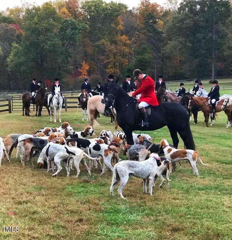 418 Quail Roost Farm Road Rougemont, NC 27572 - Photo 97 of 100 hunt