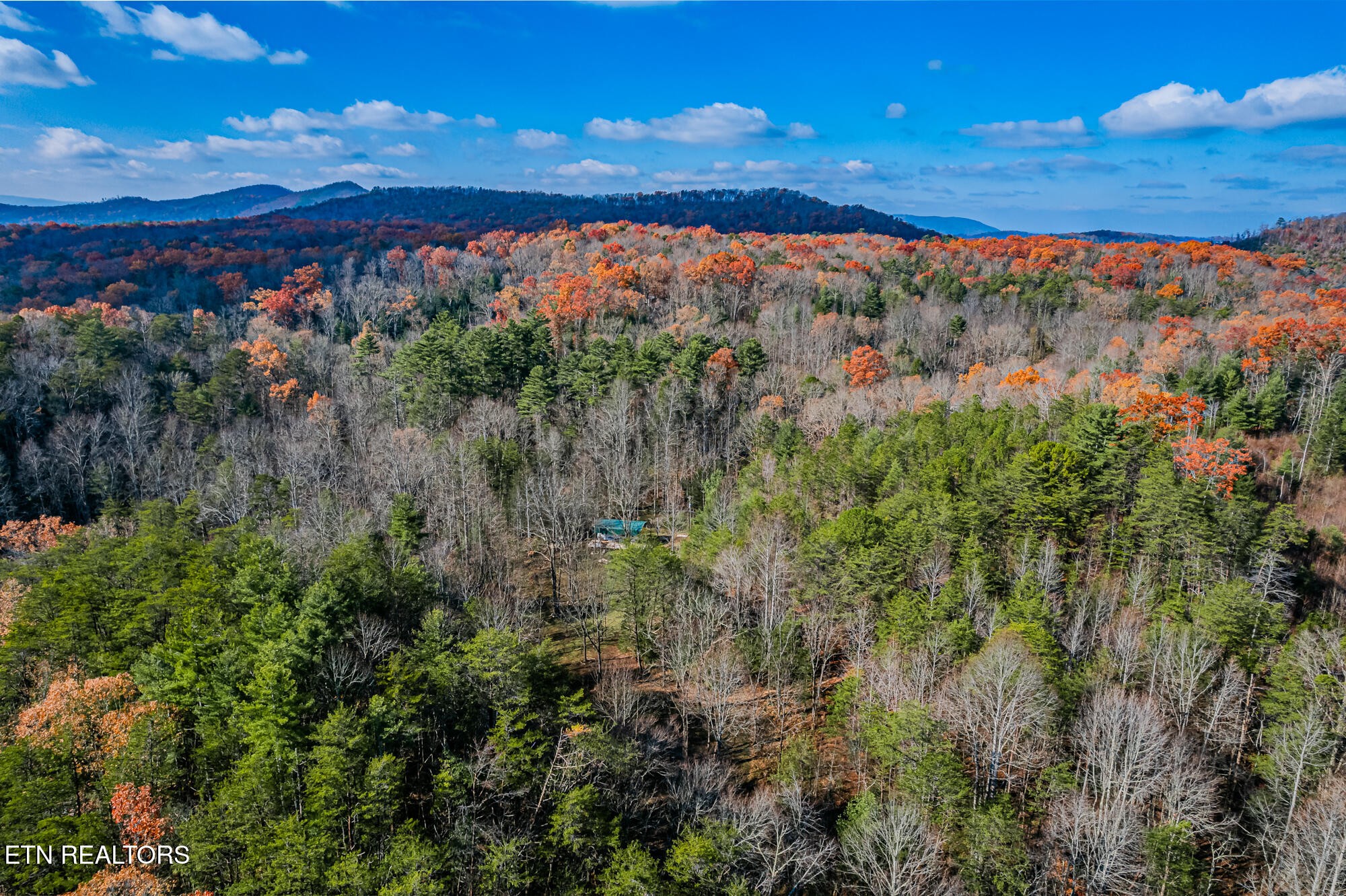 0 Pond Ridge Road Tellico Plains, TN 37385 - Photo 31 of 32
