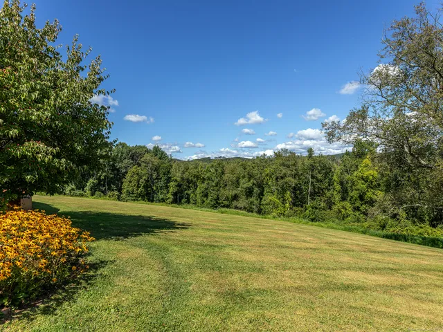 a view of a grassy field with trees