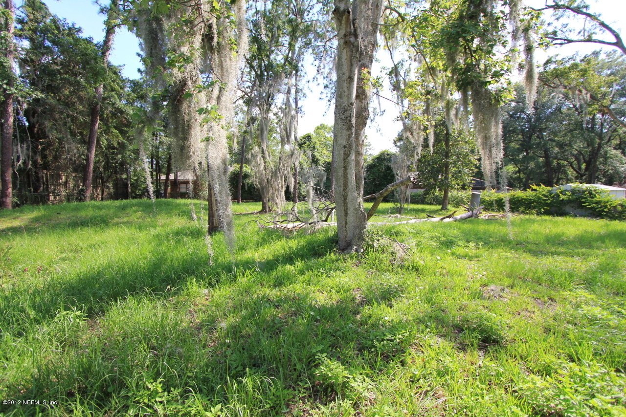 8830 Sanchez Road Jacksonville, FL 32217 - Photo 3 of 16 Back yard