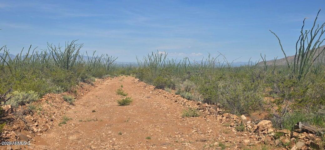 Tbd East Windmill Road Tombstone, AZ 85638 - Photo 12 of 12 TBD East Windmill Road
