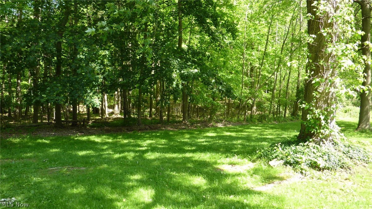 6828 Bonnieview Road Cleveland, OH 44143 - Photo 28 of 29 Gallery Image 28