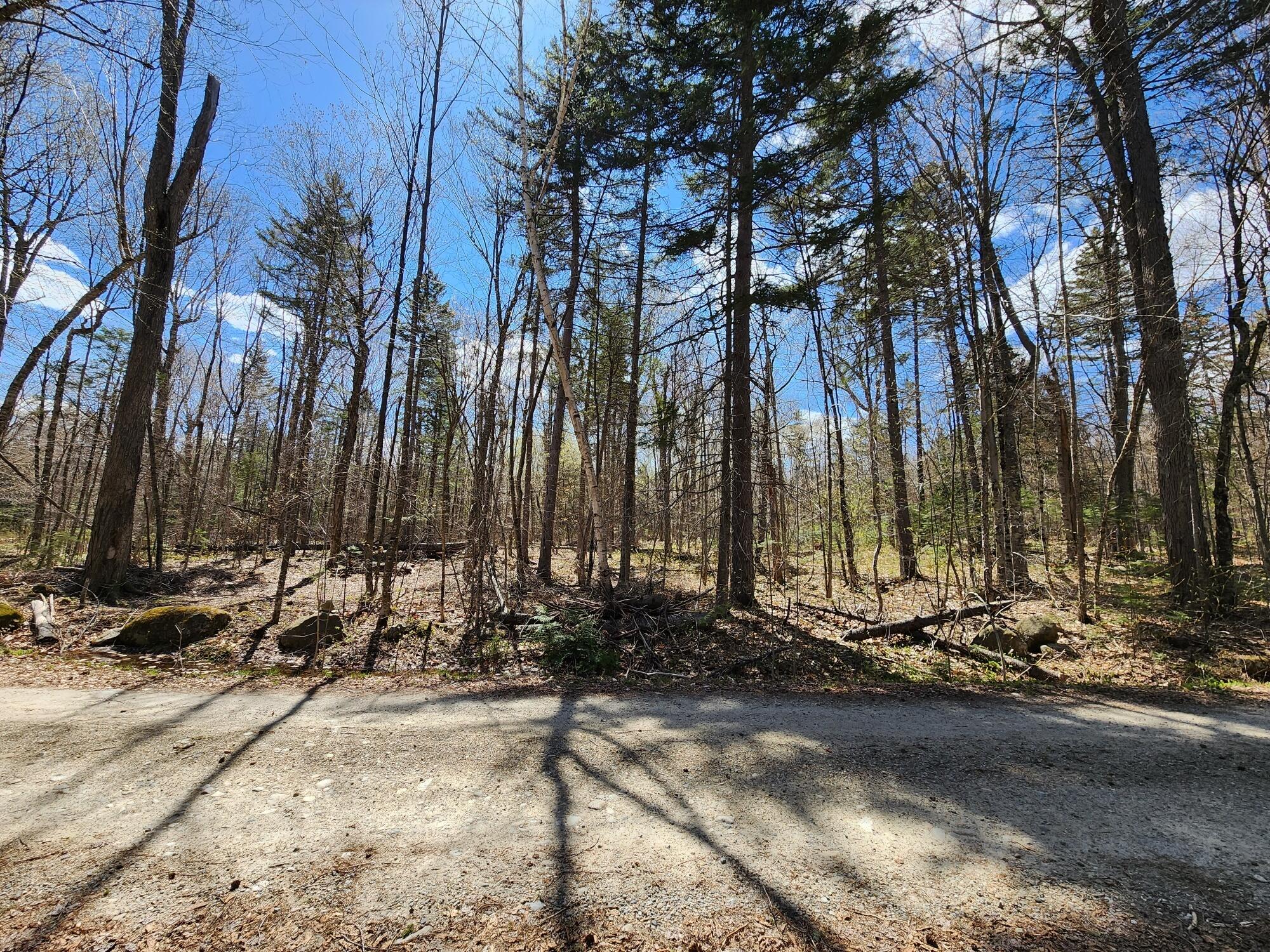 142 West Shore Road Roxbury, ME 04275 - Photo 39 of 39 39 Land Across the Street