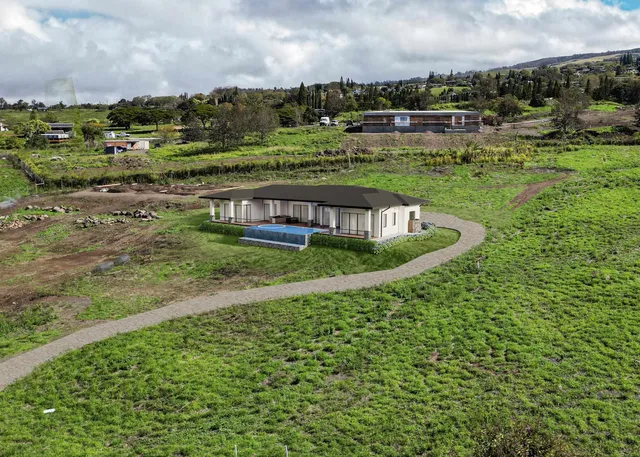 a view of a big yard with a large trees